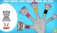 Cat Finger Family 