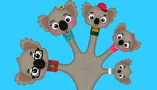 Koala Finger Family
