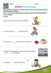 Irregular Spellings