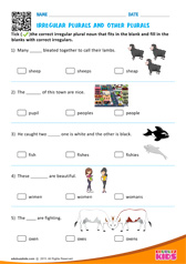 Irregular Plurals